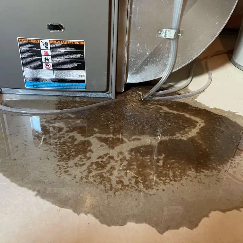 Appliance Leak Cleanup in Cabo Rojo, PR